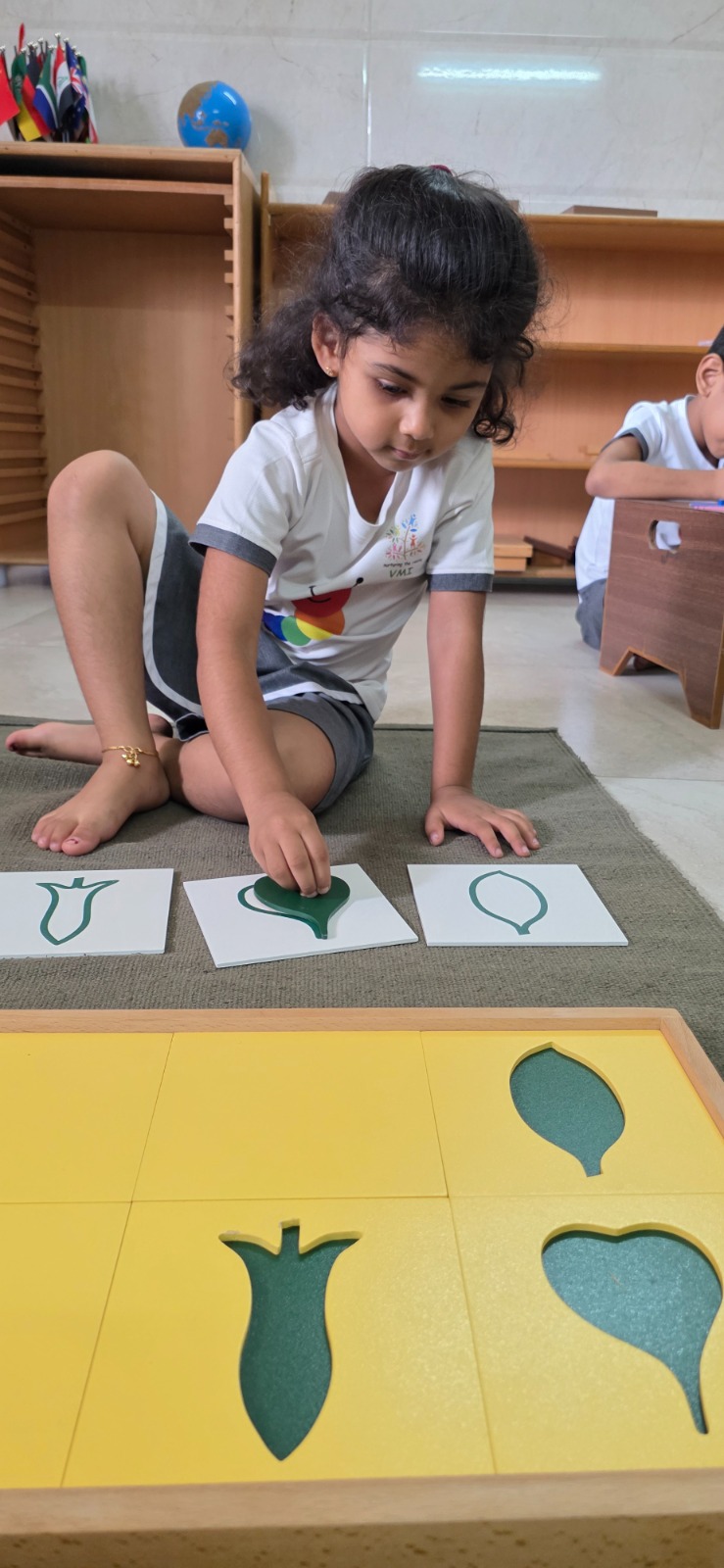 Botany cabinet leaf sorting
